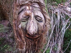 2016_holzkunst fratzenweg