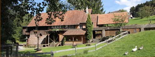 2016_moenchshofsaegemuehle